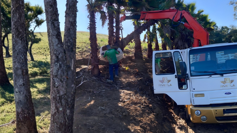 Saiba em quais situações o caminhão munck se torna essencial nas obras e como ele otimiza operações de içamento e movimentação de cargas, como destaca Altevir Seidel.
