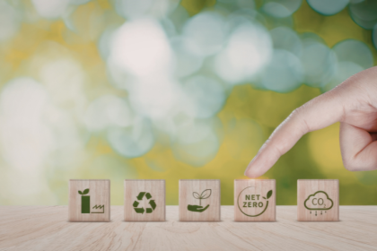 Antônio de Pádua Costa Maia