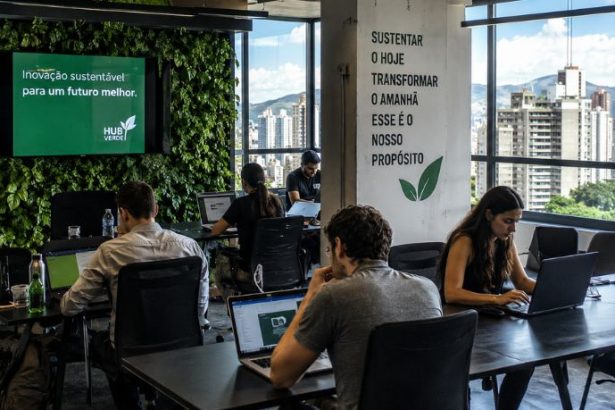 Startups verdes em Minas Gerais ganham força, mas infraestrutura ainda limita expansão sustentável