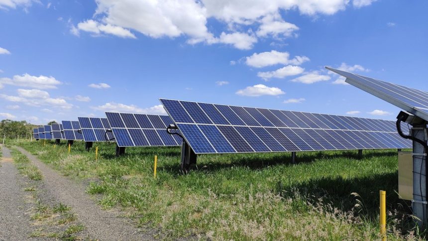 Fileiras de painéis solares em um campo sob céu azul, em Uberlândia, Minas Gerais.
